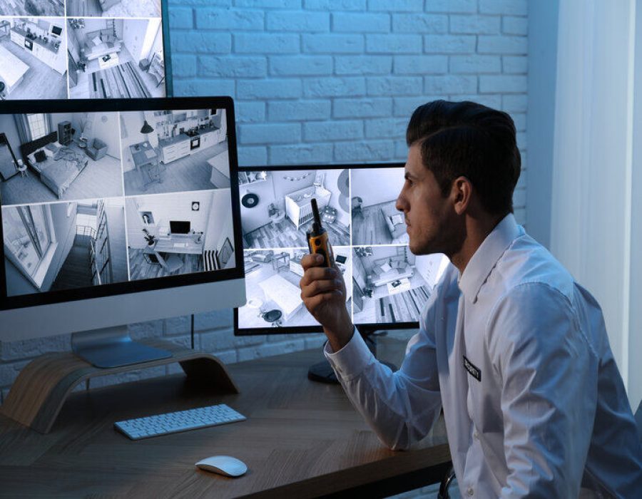 security-surveillance-management-course